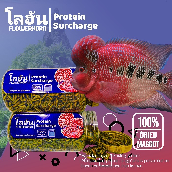  Protein Surcharge Maggot Louhan - Ikanesia 