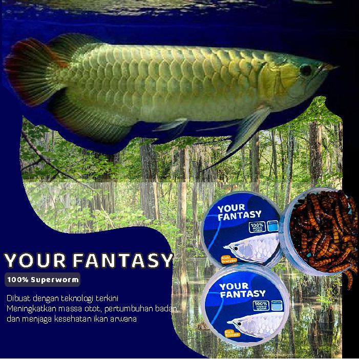 Your Fantasy Pakan Makanan Arwana Ulet Ulat Jerman Kering IKANESIA