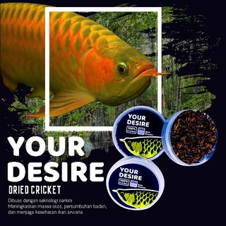 Pakan Ikan Arwana Your Desire Jangkrik IKANESIA