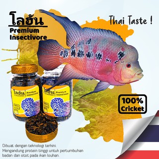 Pakan Pelet Makanan Ikan Louhan Premium Insectivore Jangkrik Kering