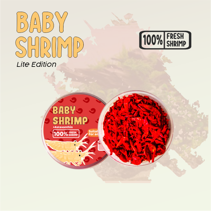 Baby Shrimp Merah Lite Pakan Makanan Ikan Koi, Mas Koki, Channa, Cichlid