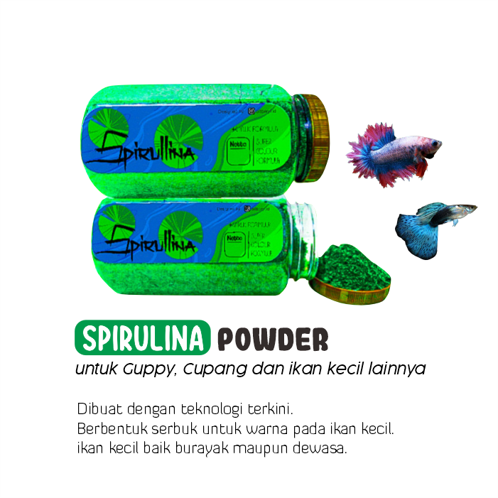 Serbuk Spirulina Naikkan Warna Cupang, Guppy, Molly dan Ikan Kecil Lainnya