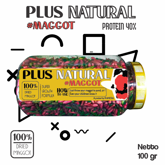  Plus Natural Maggot Warna Warni Untuk Pertumbuhan Ikan Koi dan Mas Koki