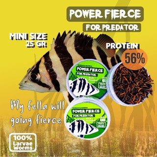 Pelet Pakan Makanan Ikan Predator Power Fierce Ulat Hongkong Kering