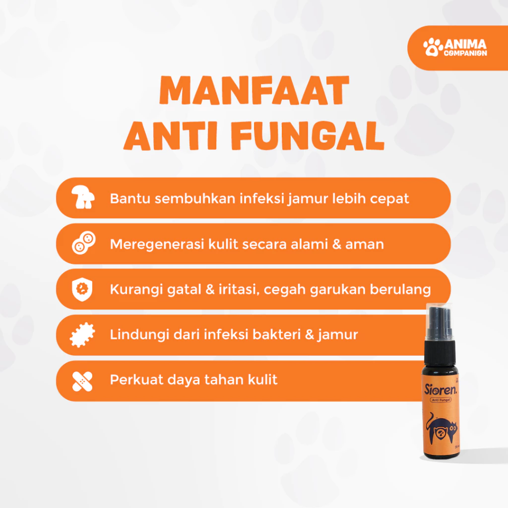 Sioren | Anti fungal | Obat jamur anti fungal dan scabies | Antiseptik, Alami & Cepat Sembuh