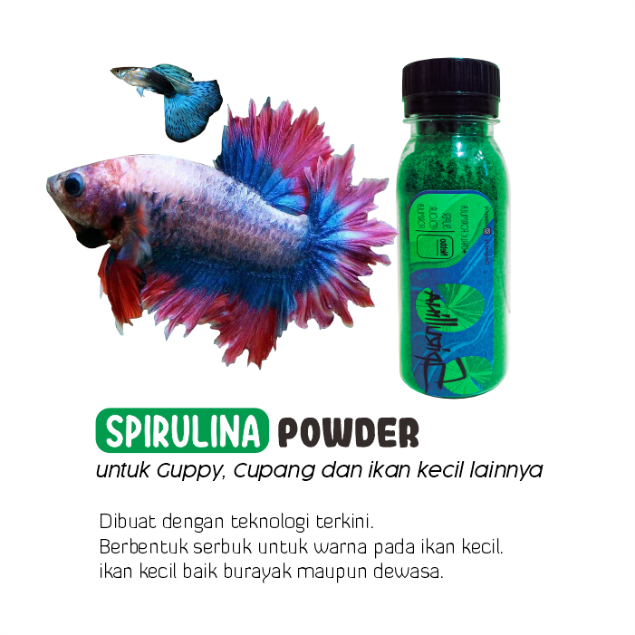 Serbuk Spirulina Naikkan Warna Cupang, Guppy, Molly dan Ikan Kecil Lainnya