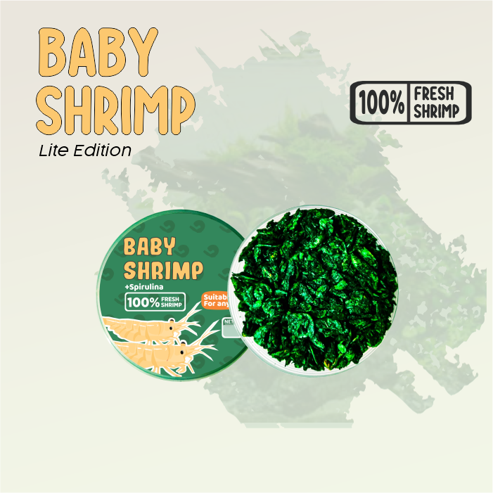 Baby Shrimp Lite Hijau Spirulina Naikkan Warna Ikan Koi, Mas Koki