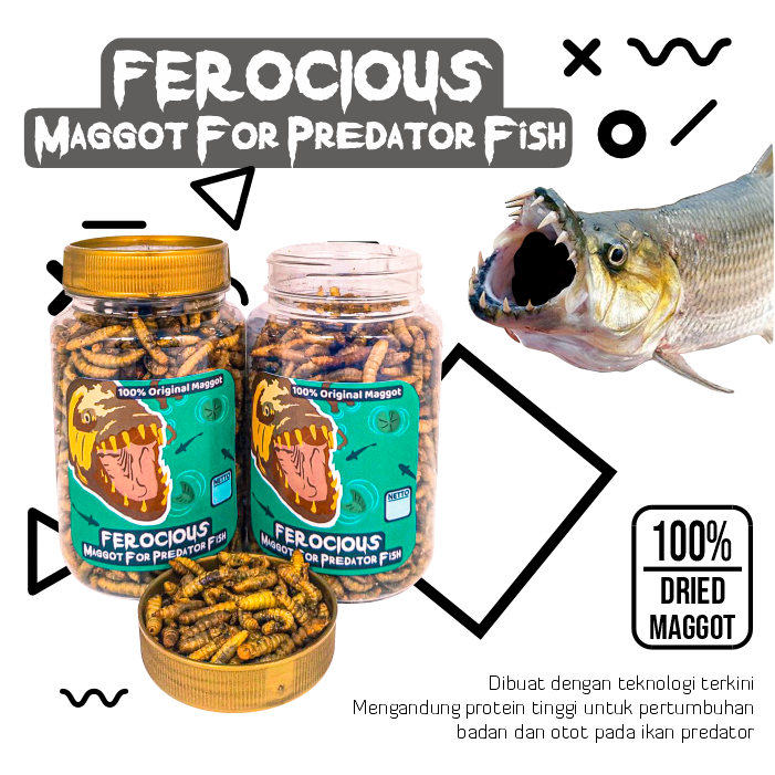 Ferocious Maggot Kering BSF Pakan Pelet Makanan Ikan Predator Arwana, Oscar, Channa IKANESIA