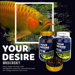 Pakan Ikan Arwana Your Desire Jangkrik IKANESIA