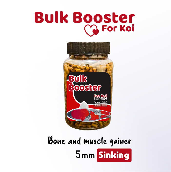Bulk Booster Koi Untuk Rangka dan Pertumbuhan Ikan