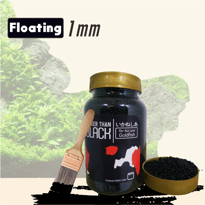Darker Than Black Naikkan Hitam [TOPLES MEDIUM SIZE] Pakan Makanan Untuk Mas Koki, Channa, Koi