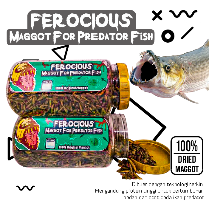 Ferocious Maggot Kering BSF Pakan Pelet Makanan Ikan Predator Arwana, Oscar, Channa IKANESIA