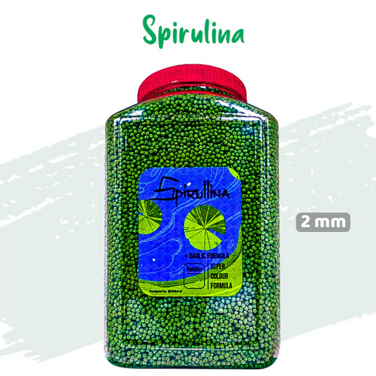 Pakan Ikan Koi SPIRULLINA [TOPLES 1,6 KG & REFILL 1KG] Toples Ekstrak BAWANG PUTIH IKANESIA