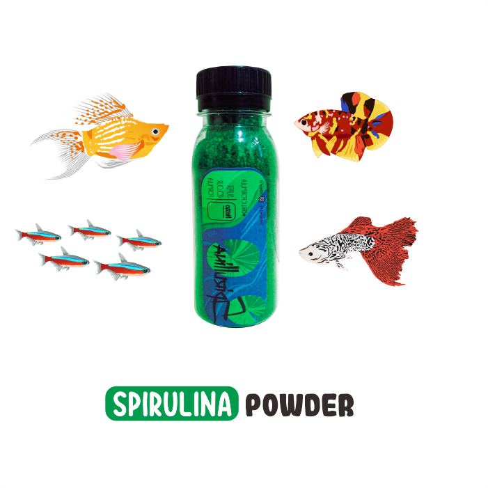 Serbuk Spirulina Naikkan Warna Cupang, Guppy, Molly dan Ikan Kecil Lainnya