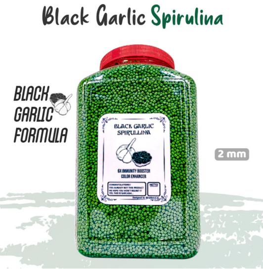 Pakan Pelet Ikan Koi SPIRULINA Black Garlic Ekstrak BAWANG HITAM [TOPLES 1,6 kg & REFILL 1KG] Daya Tahan Ikan IKANESIA