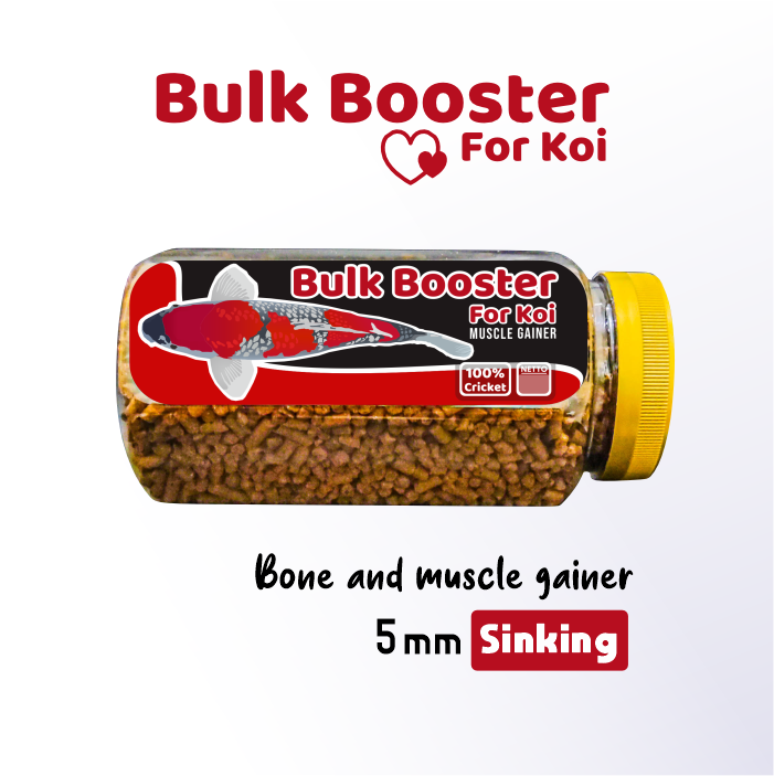 Bulk Booster Koi Untuk Rangka dan Pertumbuhan Ikan