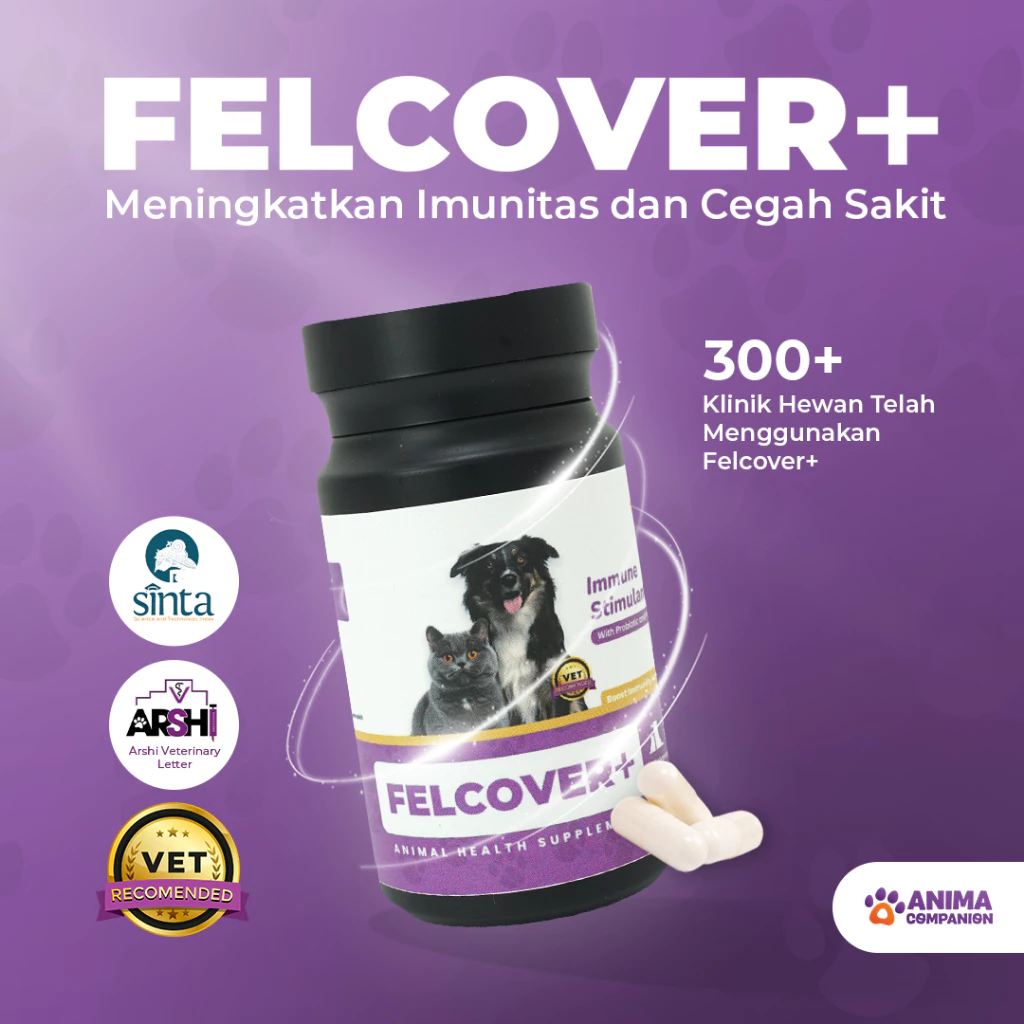 FELCOVER+ | Original Fast Recovery and Immune All in One Solution | Vitamin Kucing & Anjing