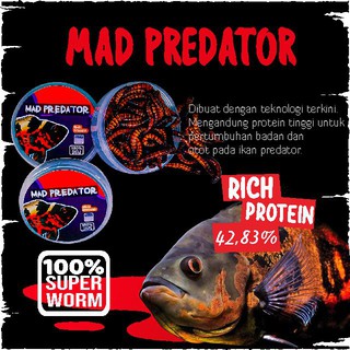 Pakan Makanan Ikan Predator Mad Predator Ulet Ulat Jerman Oscar Channa