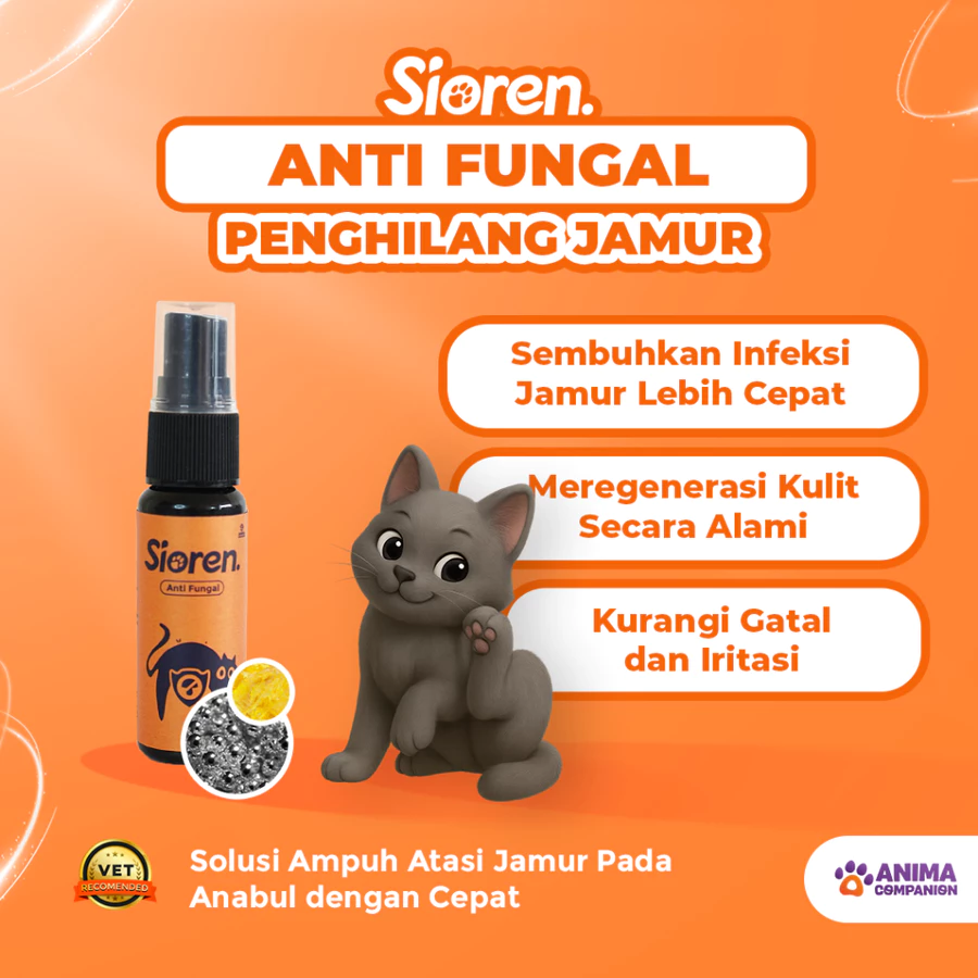 Sioren | Anti fungal | Obat jamur anti fungal dan scabies | Antiseptik, Alami & Cepat Sembuh