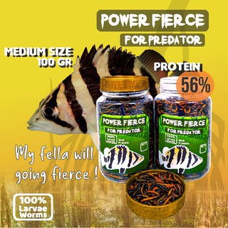 Pelet Pakan Makanan Ikan Predator Power Fierce Ulat Hongkong Kering