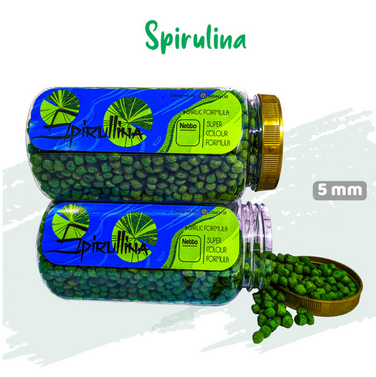 Pakan Ikan Koi SPIRULINA [TOPLES BIG SIZE 350 gr] Ekstrak BAWANG PUTIH IKANESIA