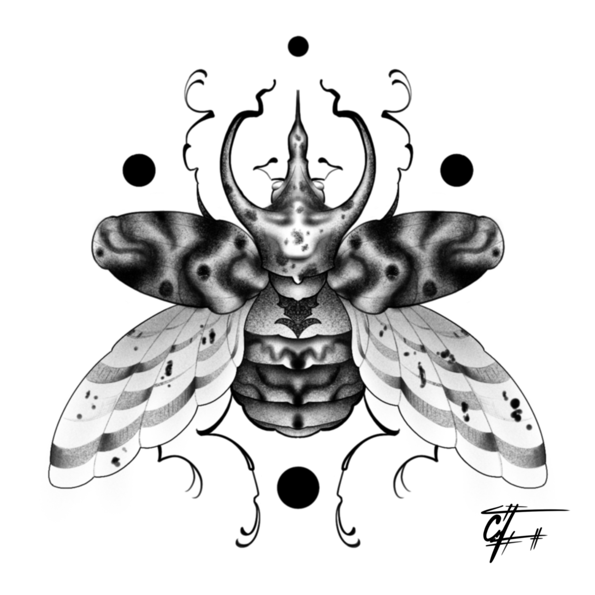 Escarabajo rinoceronte 