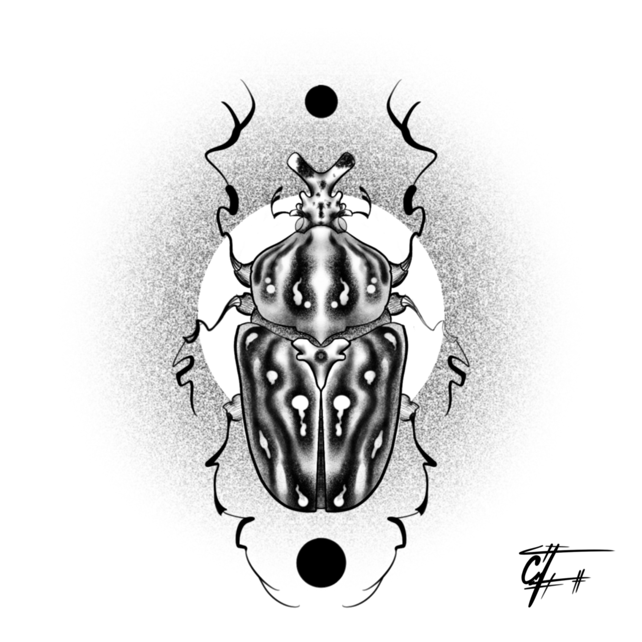 Escarabajo Goliat