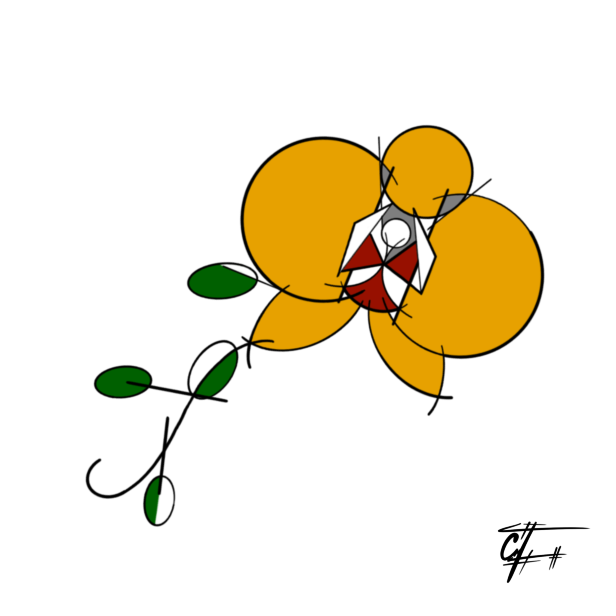Orquidea