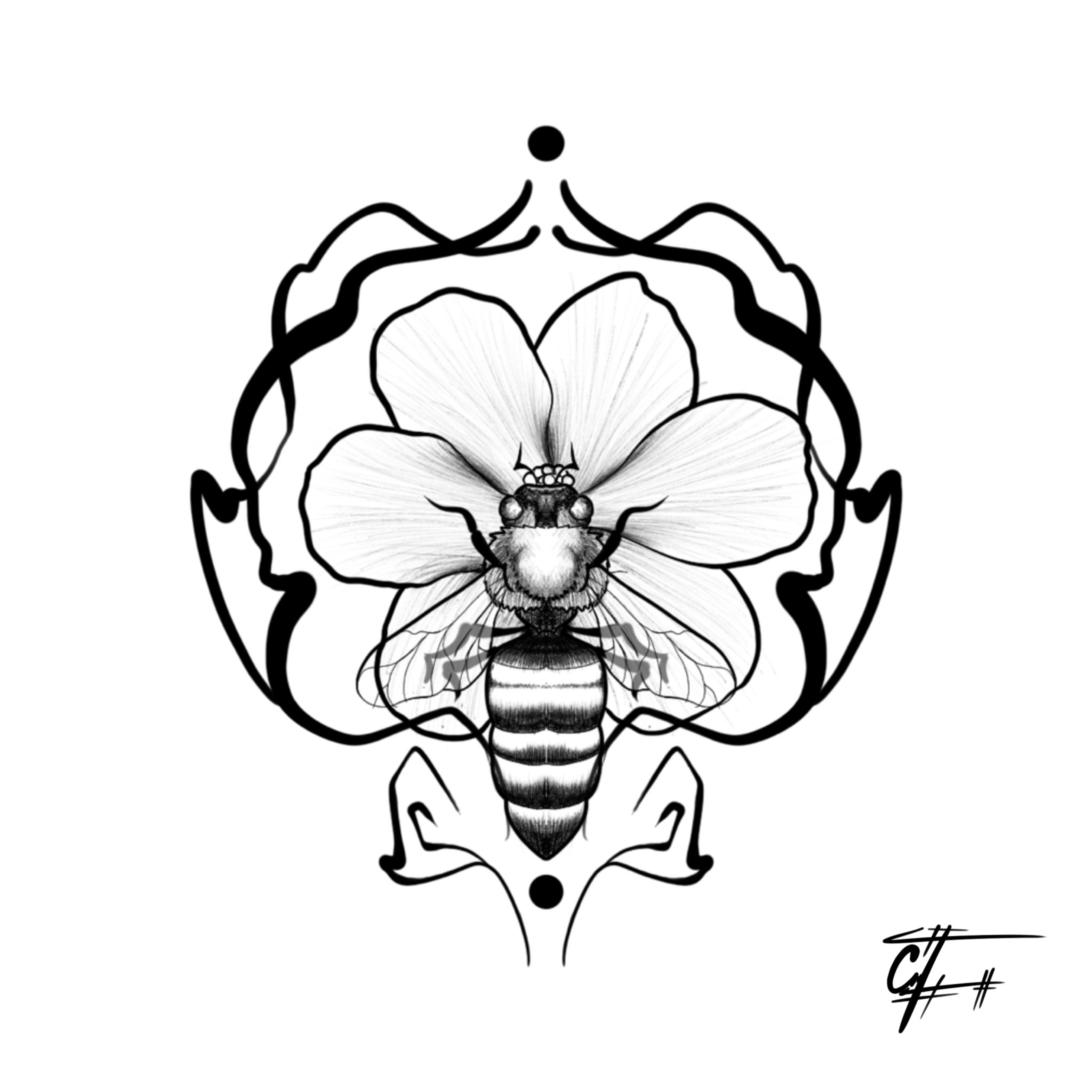 Asociación