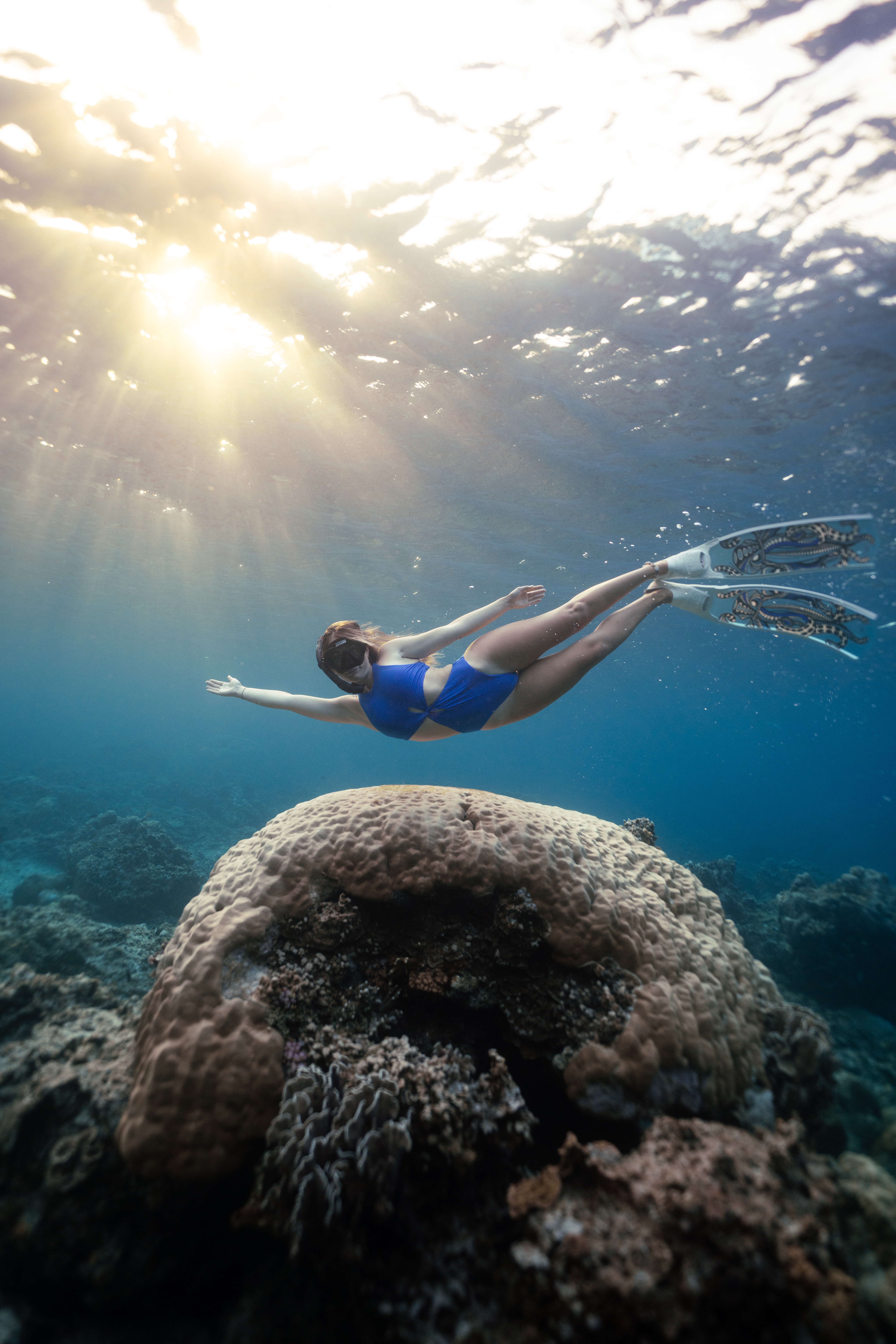 Discover Freediving Experience