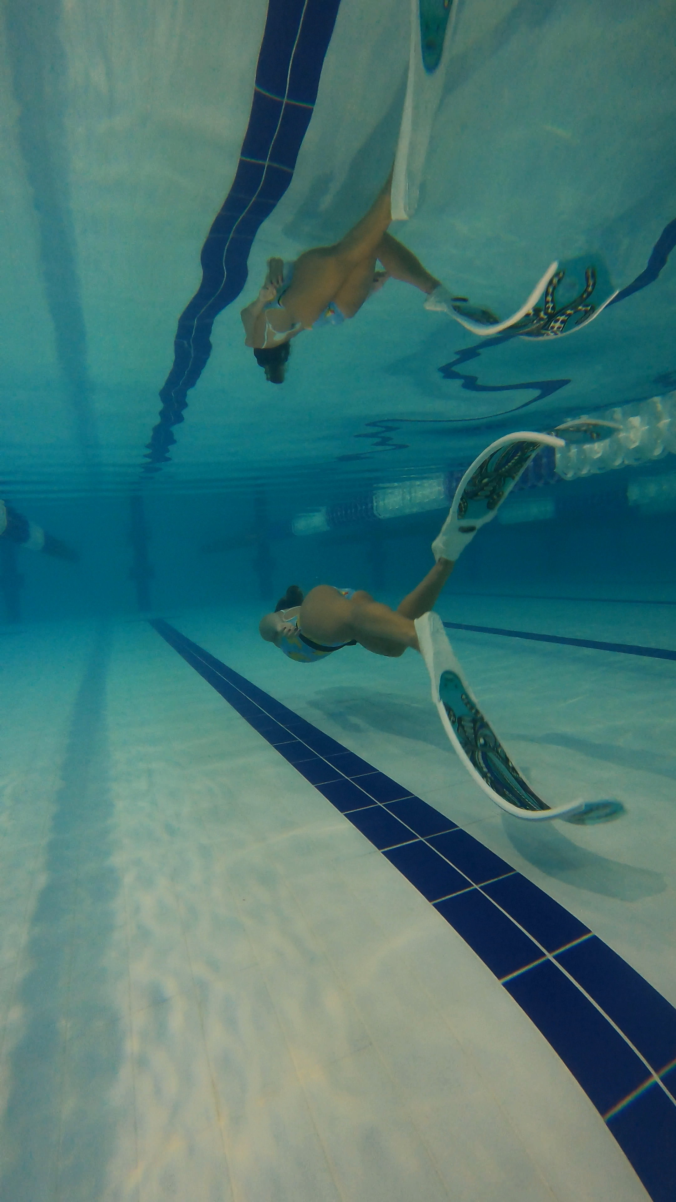 Molchanovs Wave 2 Freediving Course