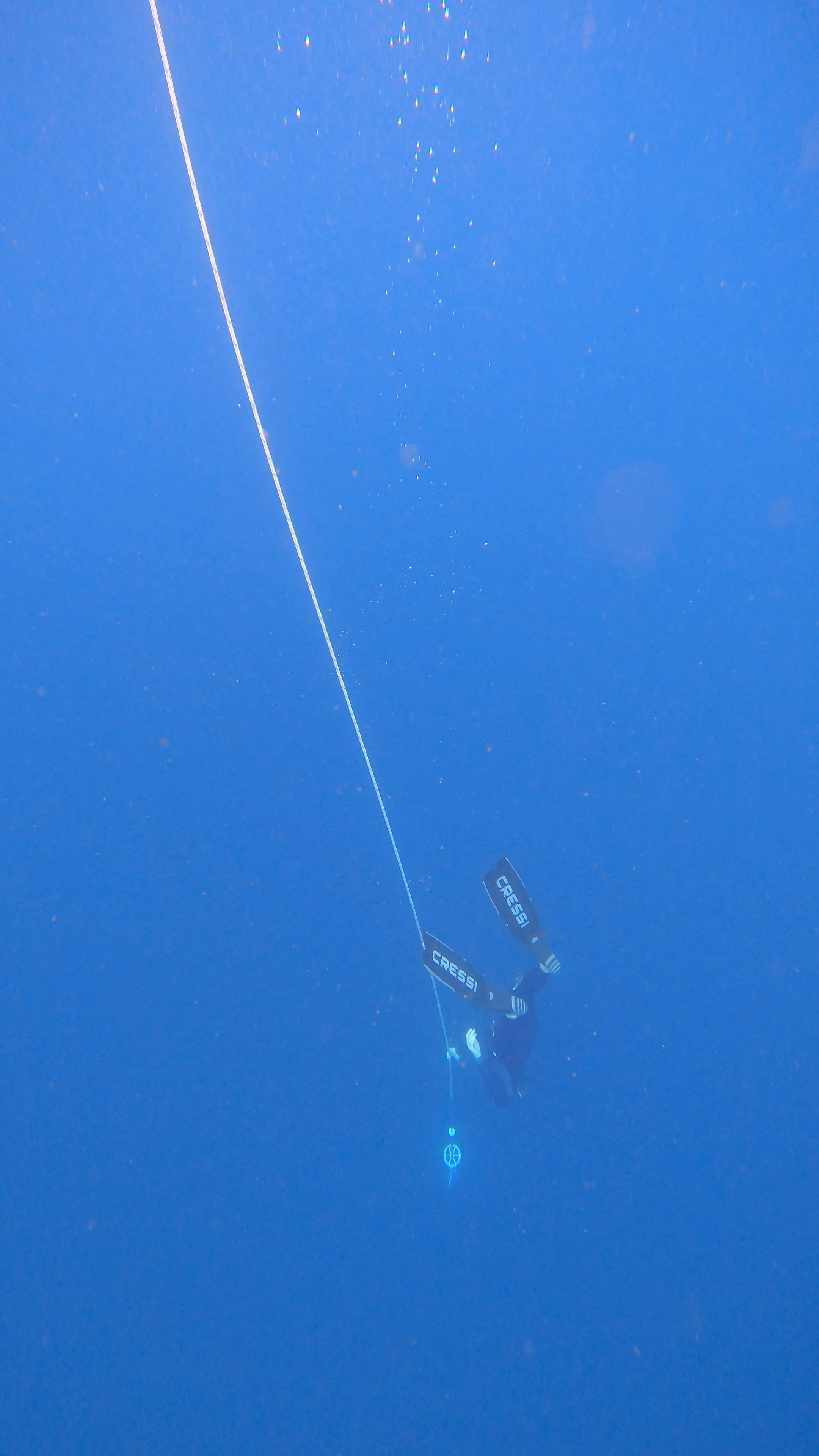 Molchanovs Wave 2 Freediving Course