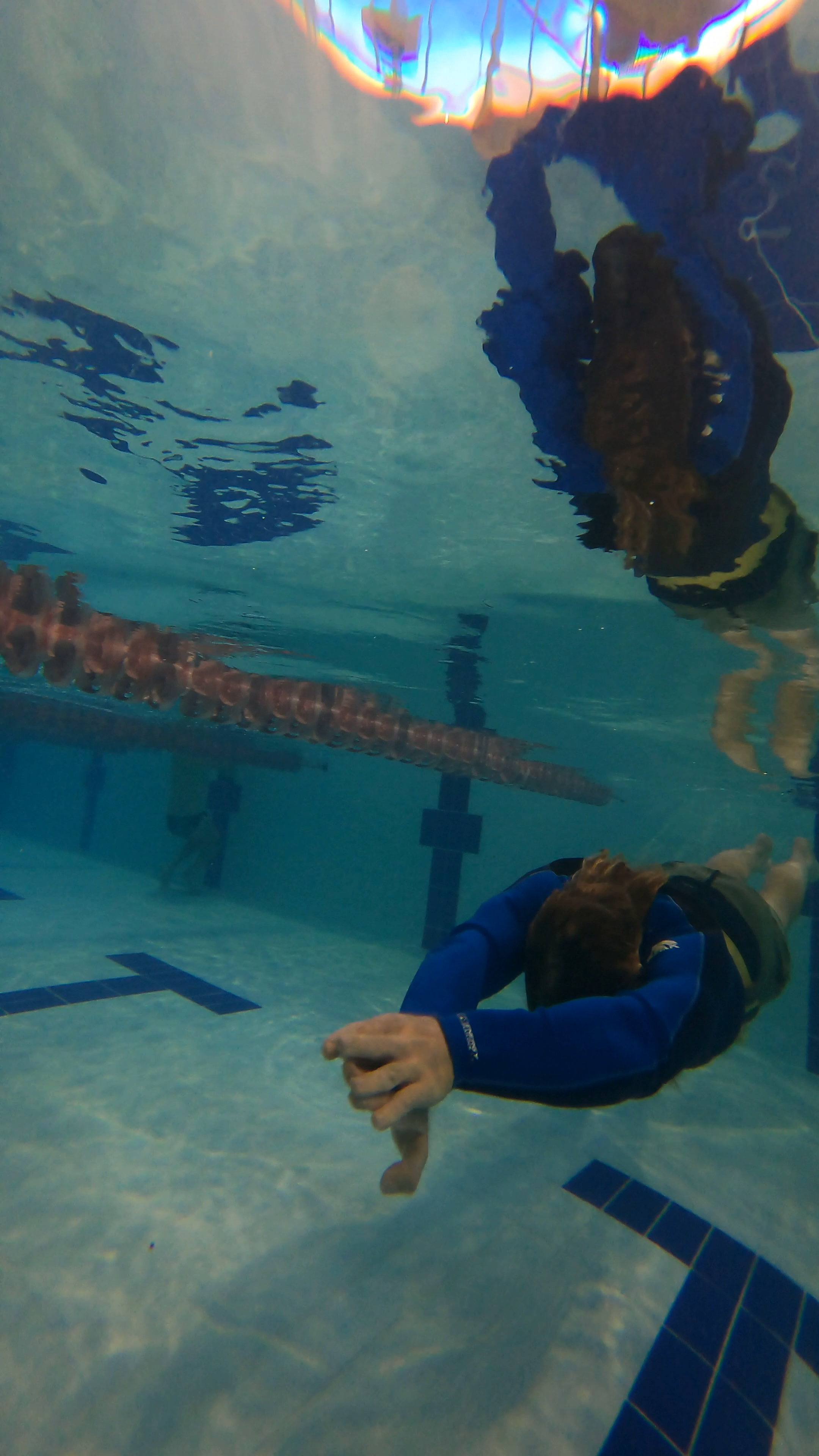 Private Trainings