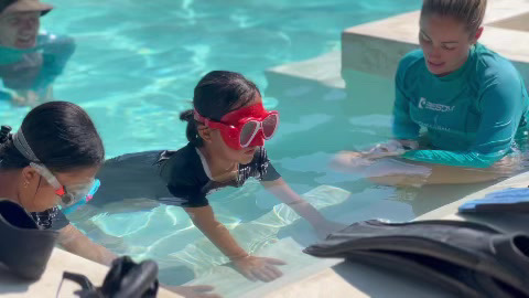 Junior Freediver Courses