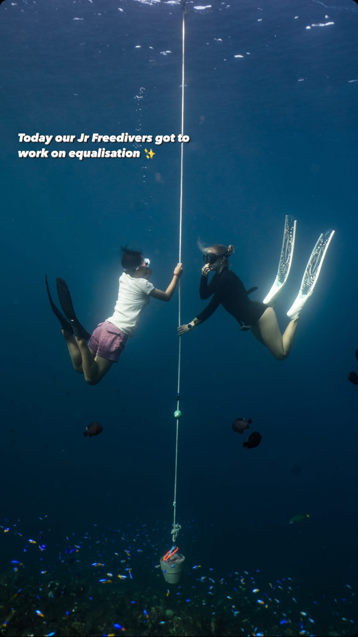 Junior Freediver Courses