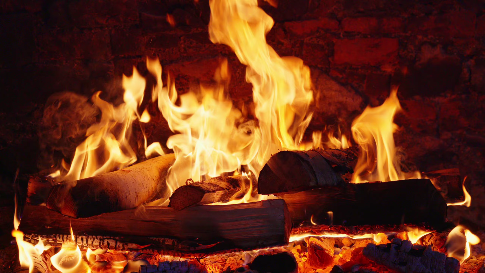 Fondo Video - Hoguera