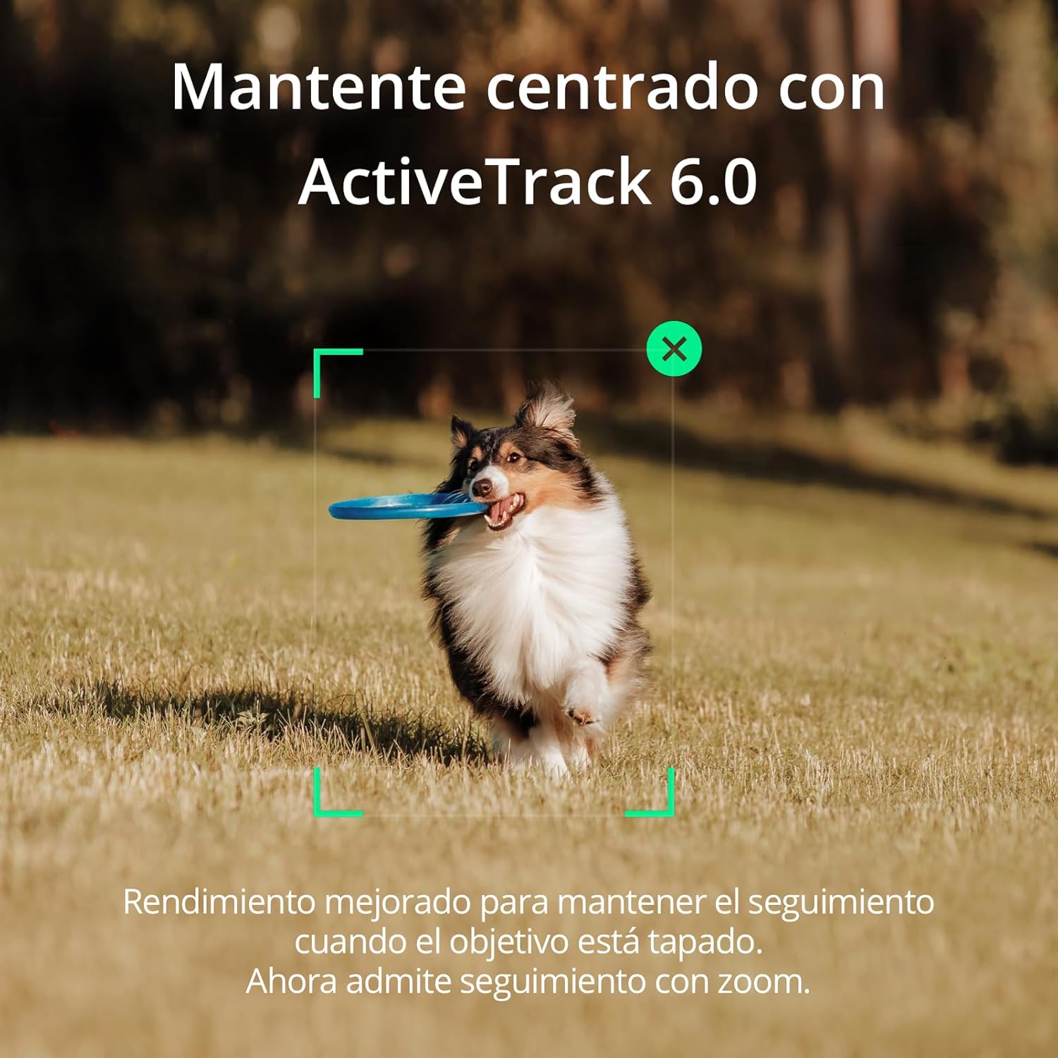 ESTABILIZADOR DJI OSMO MOBILE SE