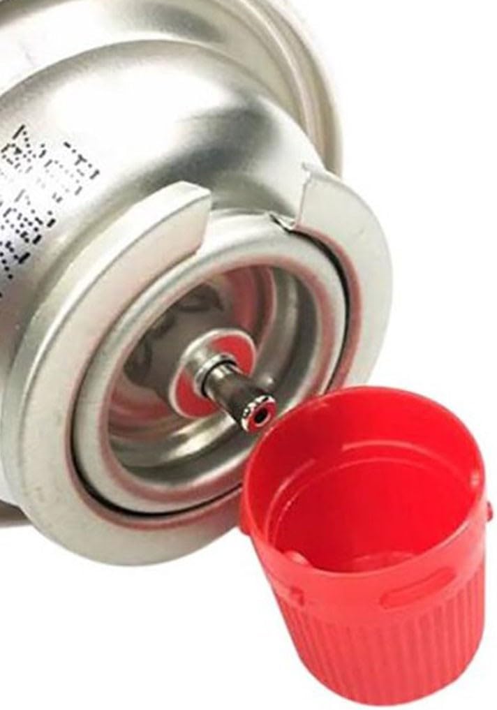 CARTUCHOS DE GAS 250G PACK 12