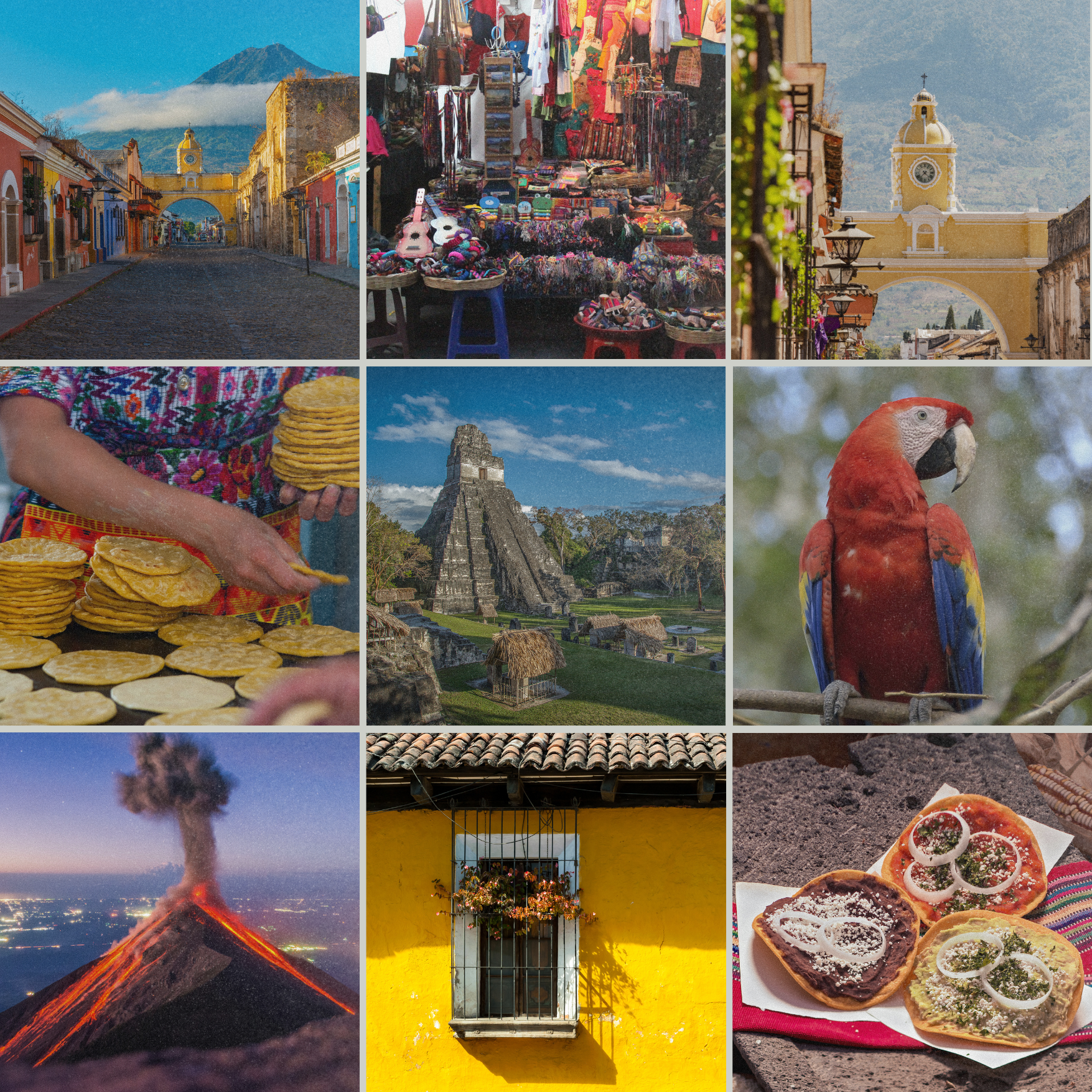 The Guatemalan Chapter