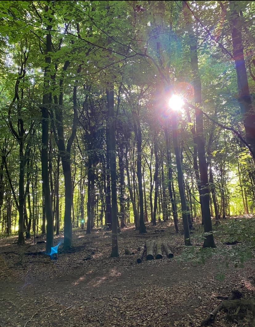 Interbeing in the Wild of Nature
