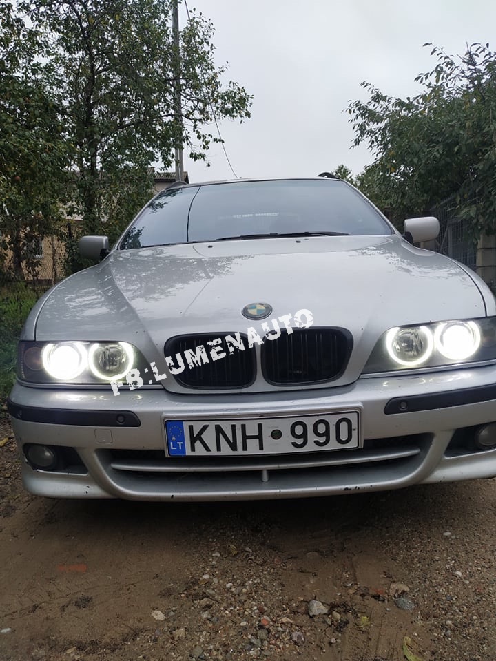 XENON D2S/D2R HIGH POWER