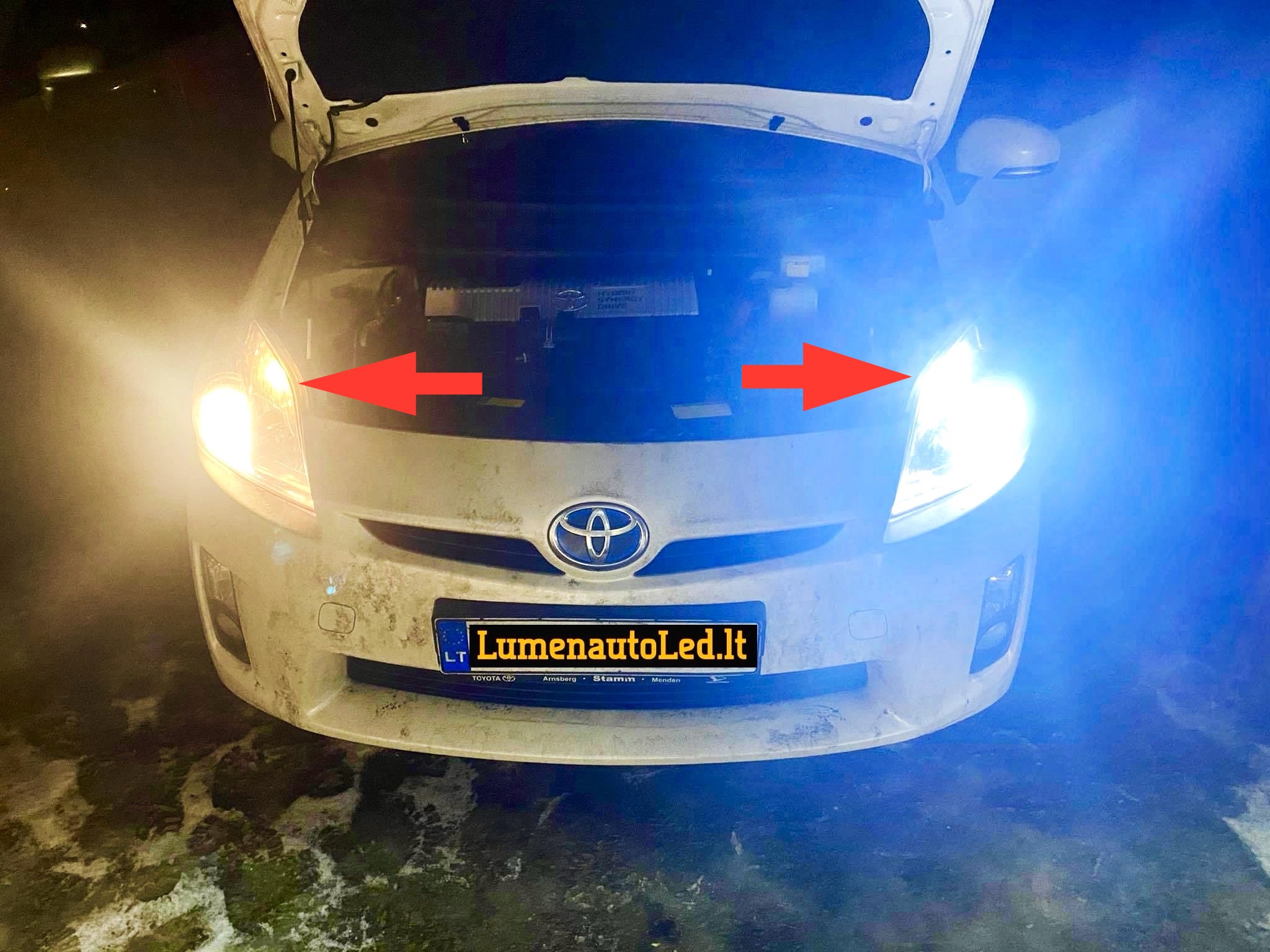 T10/W5W SMD+CANBUS (2vnt)