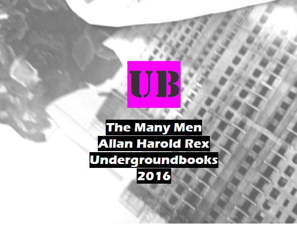 The Many Men: An Illustrated Guy-de to Shorter Poems by Allan Harold Rex