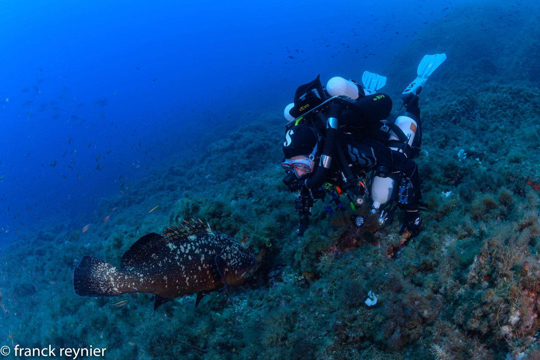 Initiation Recycleur rEvo