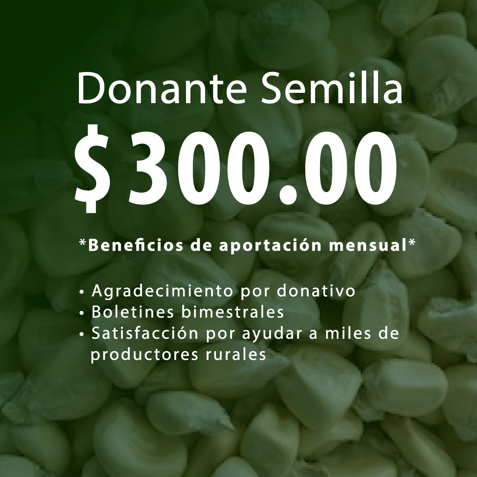 Donante Semilla