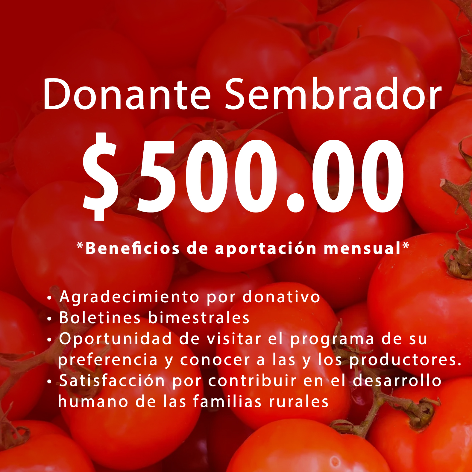 Donante Sembrador