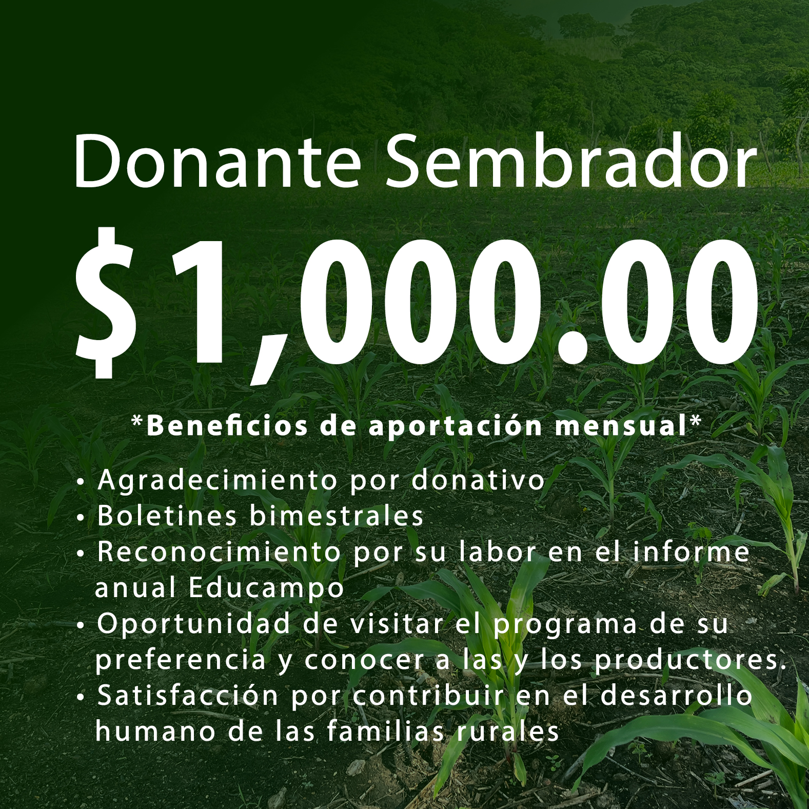 Donante Sembrador