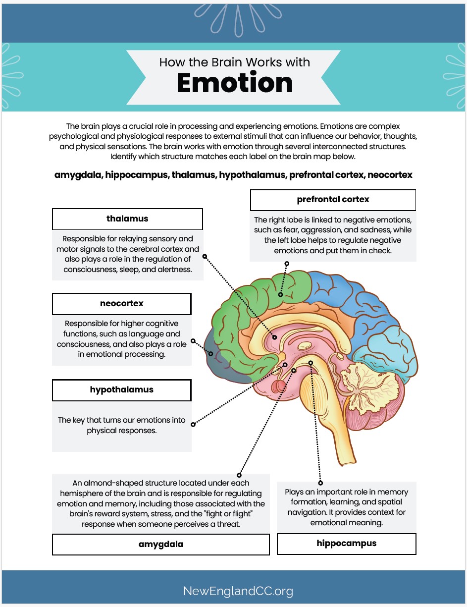 How the Brain Works with Emotion Poster