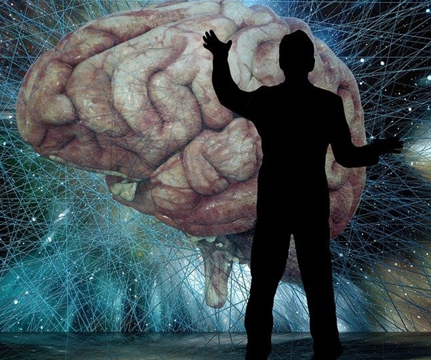 CONSCIENCIA DE LA CONCIENCIA