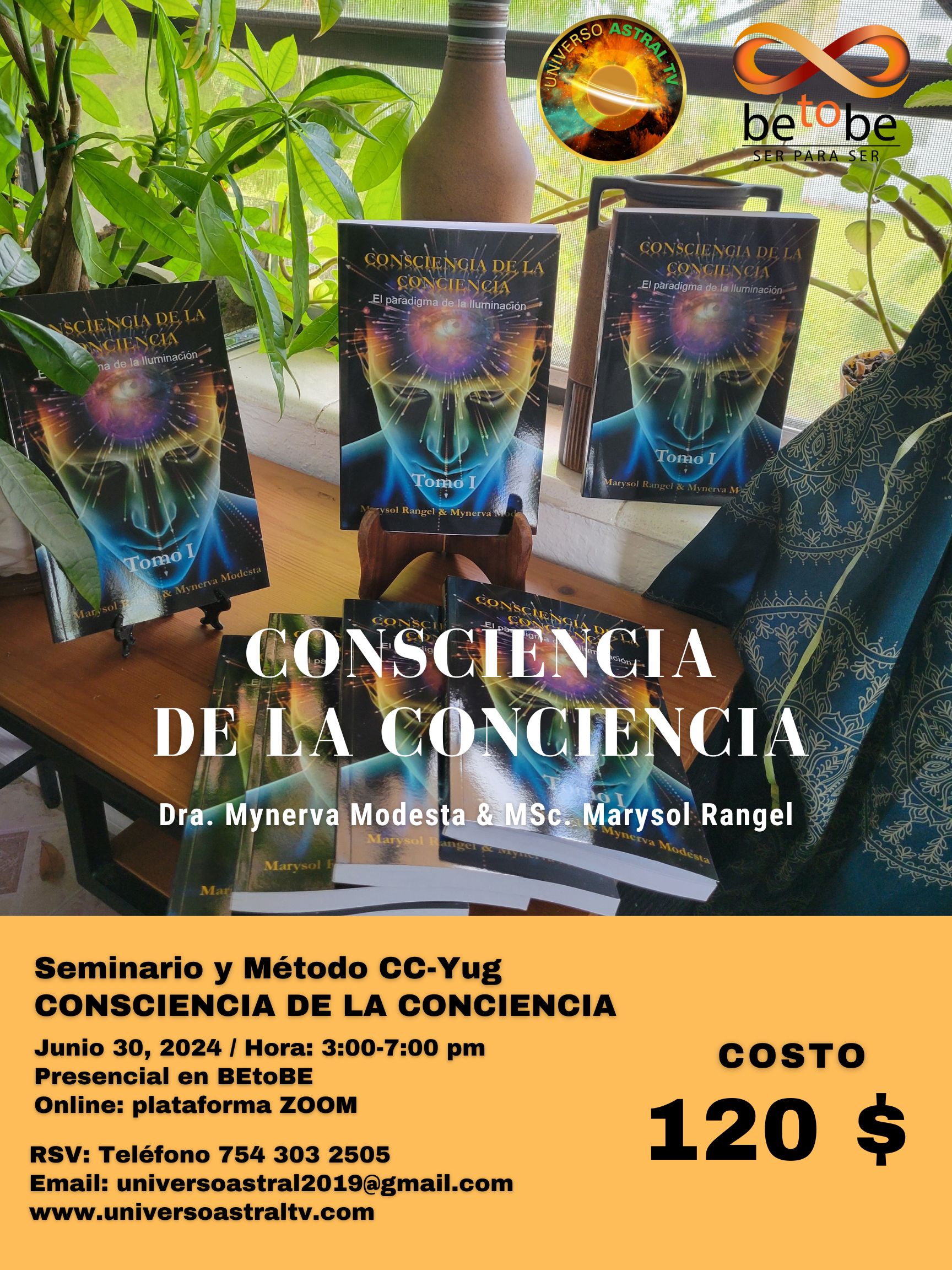 SEMINARIO CONSCIENCIA DE LA CONCIENCIA